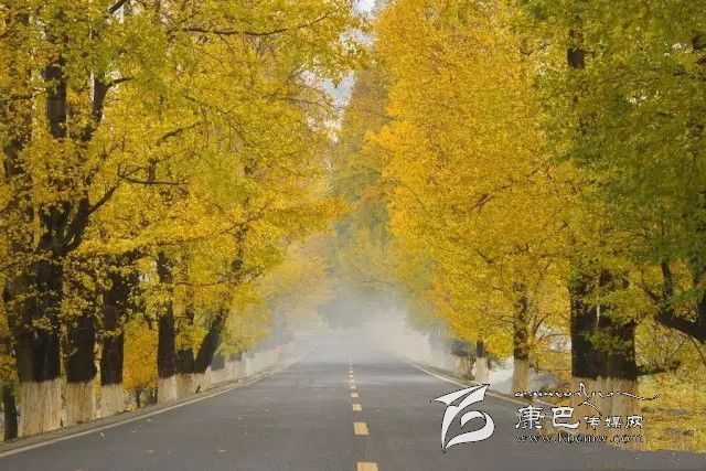 康定新都橋，有一條黃金大道通往夢中的天堂