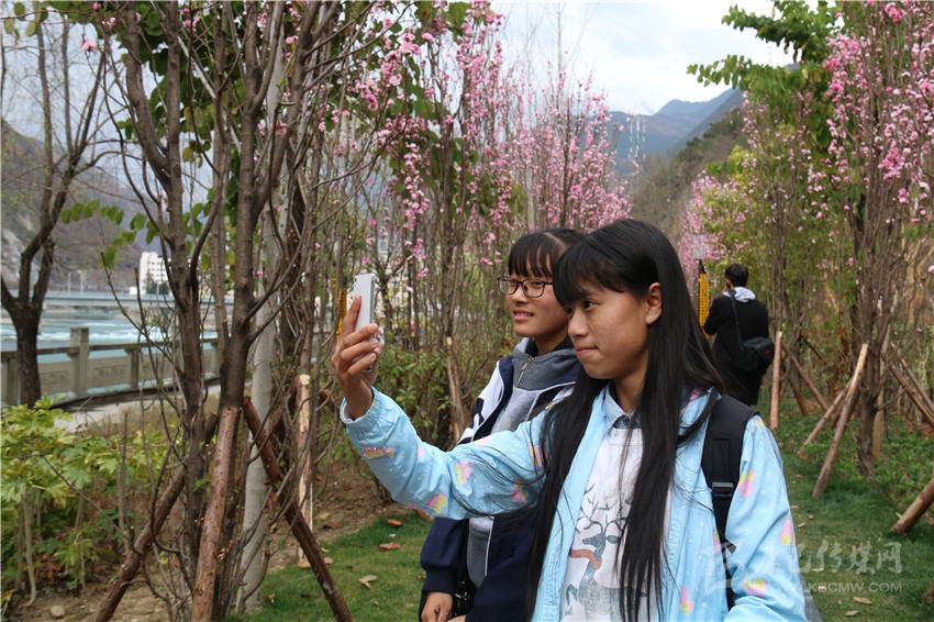 春光俏！“醉”是瀘定春三月，踏青賞花正當(dāng)時(shí)