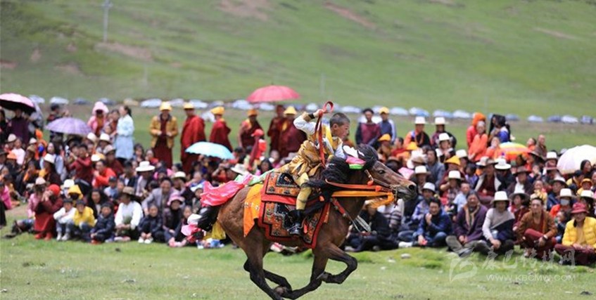 格?；ㄊ㈤_ 牧民馬背上一顯身手