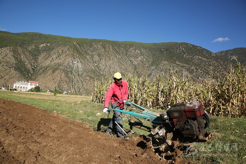 田園藏鄉(xiāng)美如畫，百姓脫貧喜在心