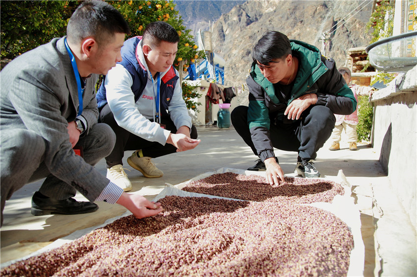 了解產(chǎn)業(yè).jpg 了解產(chǎn)業(yè).jpg