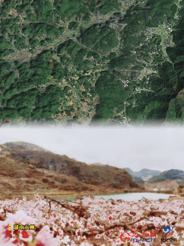 清明游玩賞花圖鑒來了！衛(wèi)星鏡頭帶你先睹為快