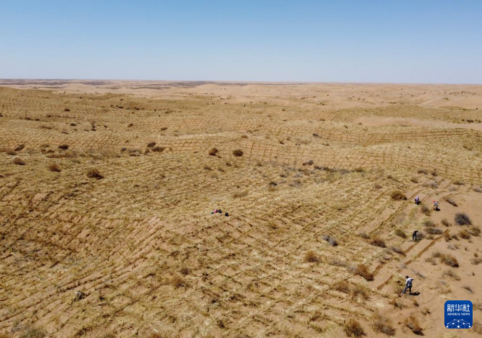 2024年4月10日，群眾在古浪縣八步沙林場麻黃塘沙區(qū)用草方格壓沙。新華社發(fā)（無人機照片）